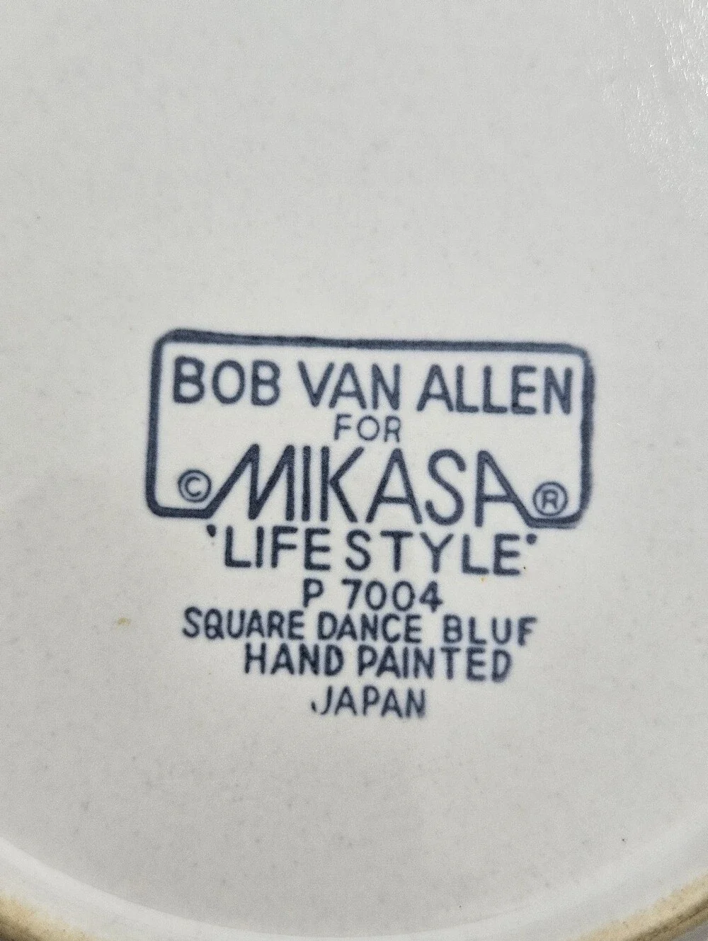 Mikasa White Plates with Navy Rings and Rust Accents